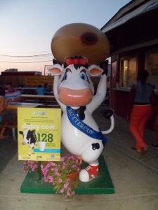 ButterCup, The Dairy Cow